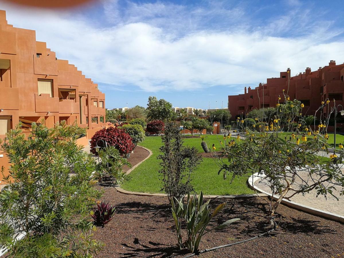 Alquilaencanarias El Medano Sotavento, Great Terrace And Beach المظهر الخارجي الصورة